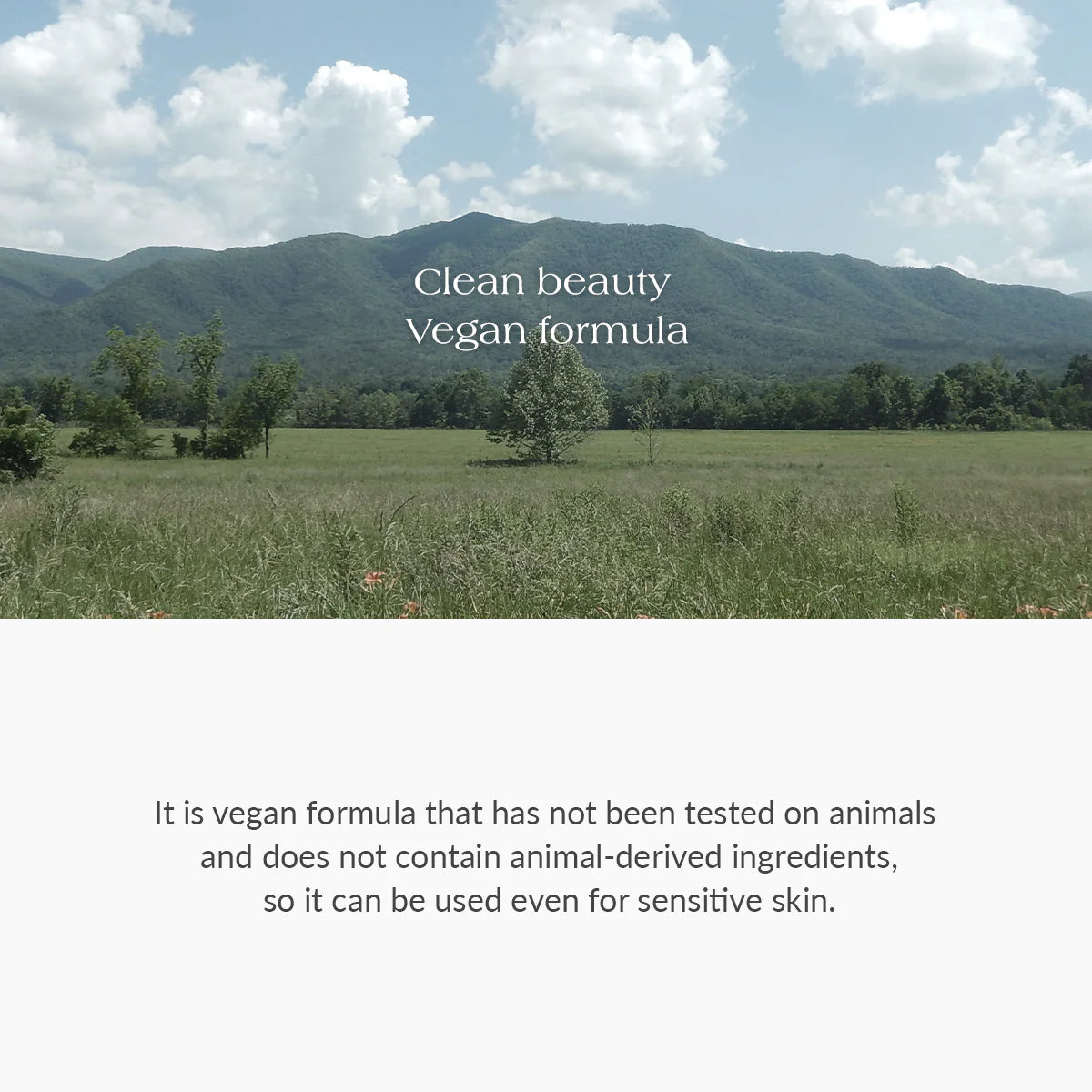 Scenic landscape with mountains and trees, featuring text about a vegan formula.