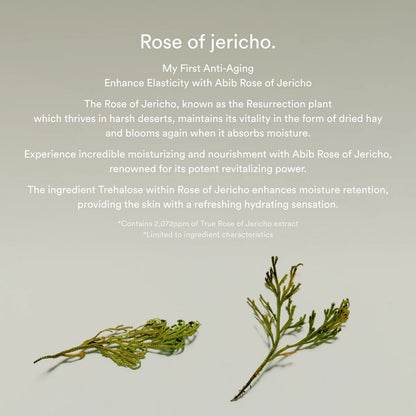 ABIB Jericho Rose Bifida Serum Firming Drop (50ml)