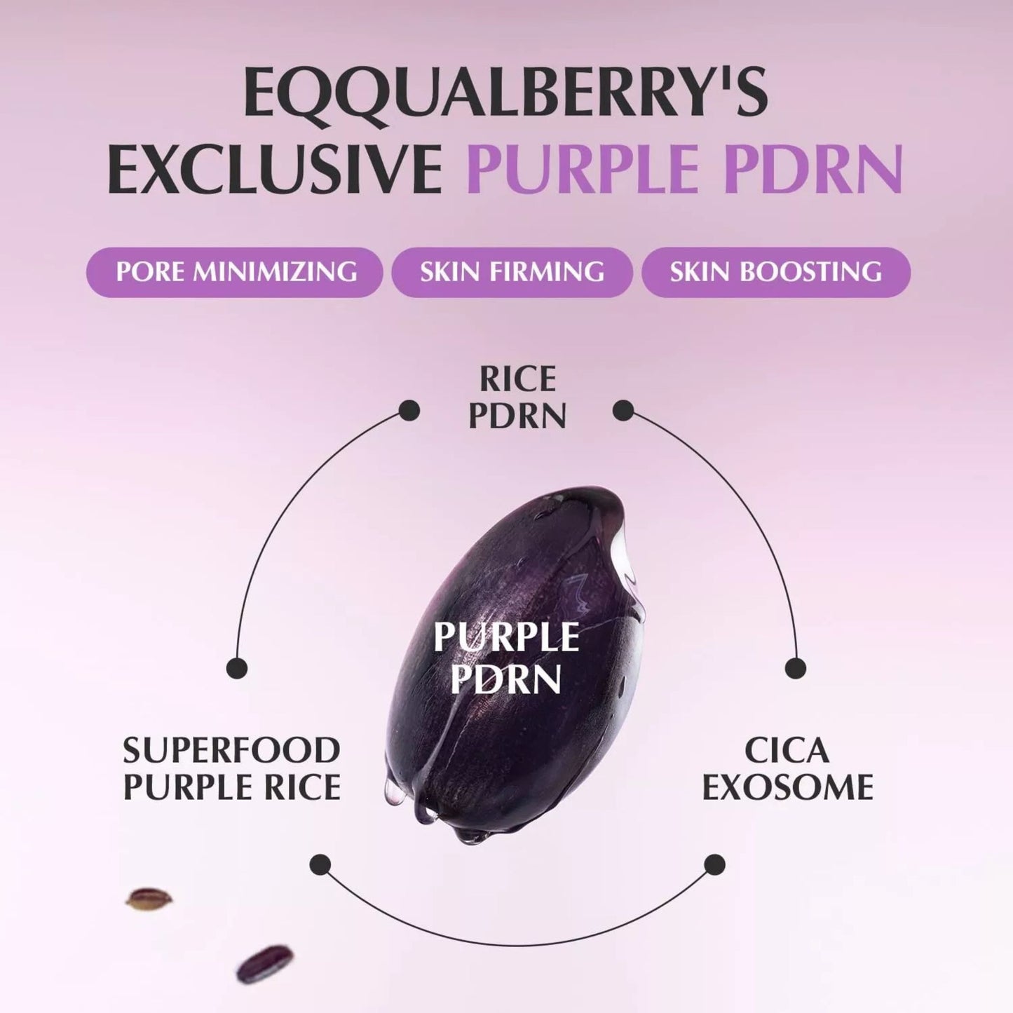 EQQUALBERRY Purple PDRN Pore Minimizing Serum – 30ml