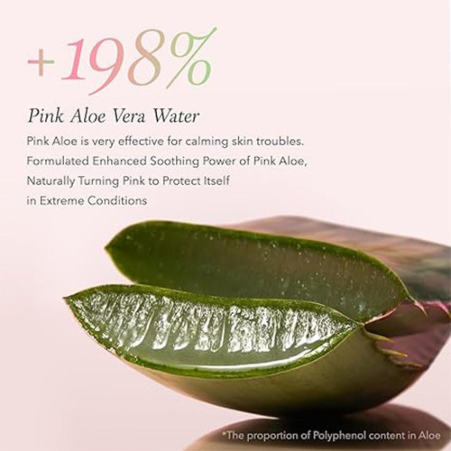Pink aloe vera leaves with text about its benefits on a light pink background