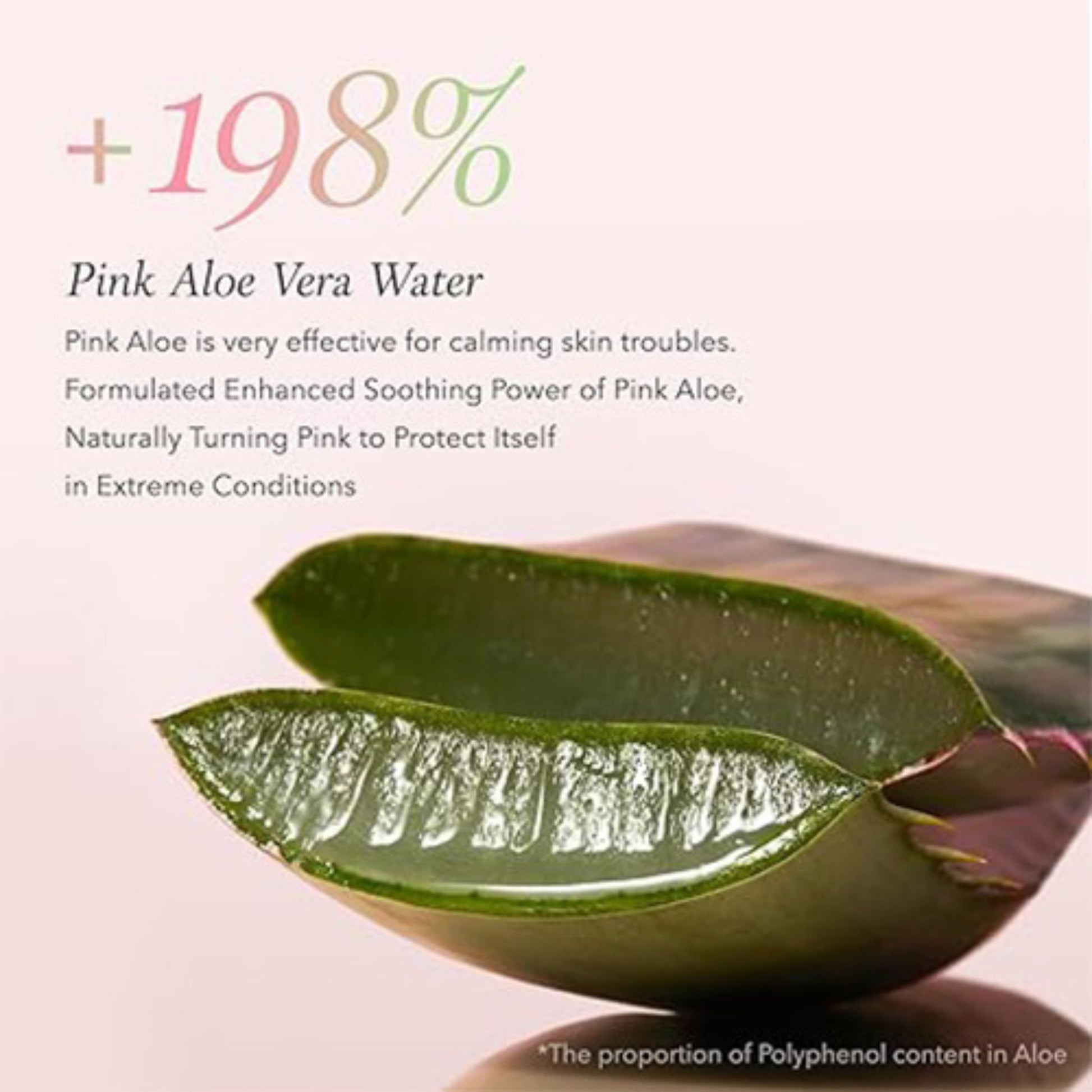 Pink aloe vera leaves with text about its benefits on a light pink background