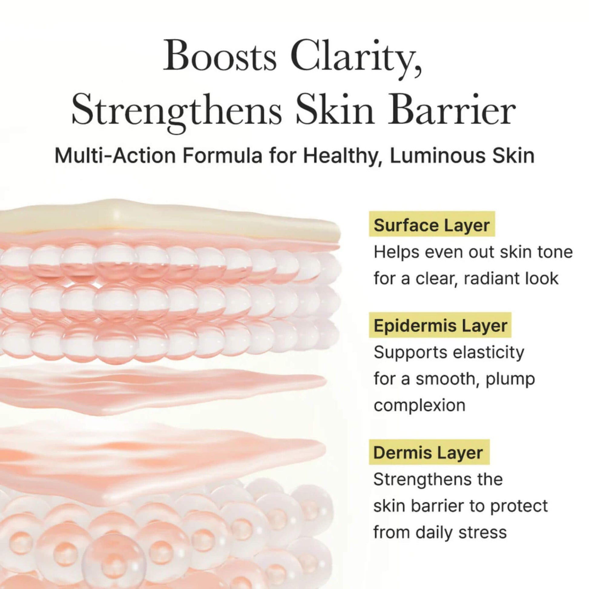 Diagram of skin layers with text about skincare benefits
