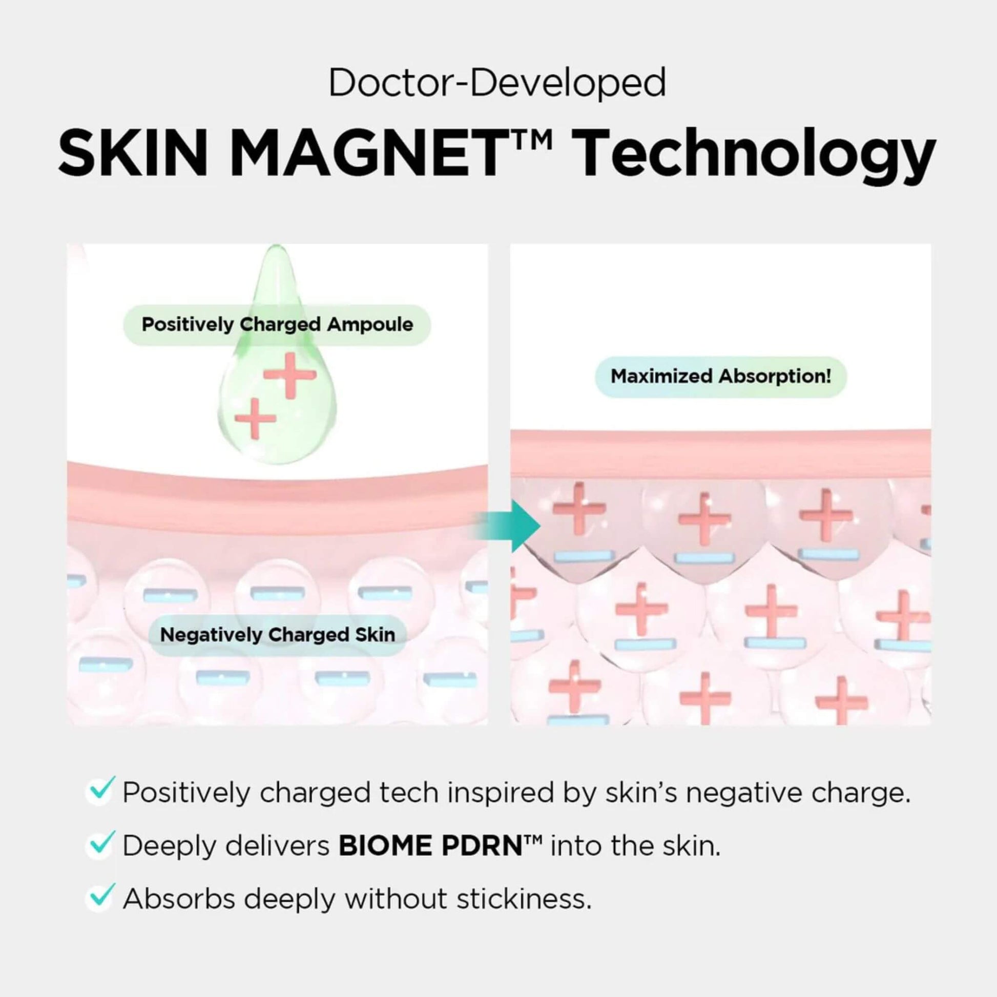 Diagram of Skin Magnet Technology with positively charged ampoule and maximized absorption into negatively charged skin.