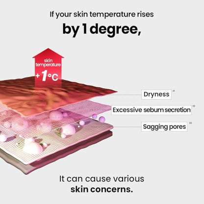 Diagram of skin layers with temperature increase and associated skin concerns.