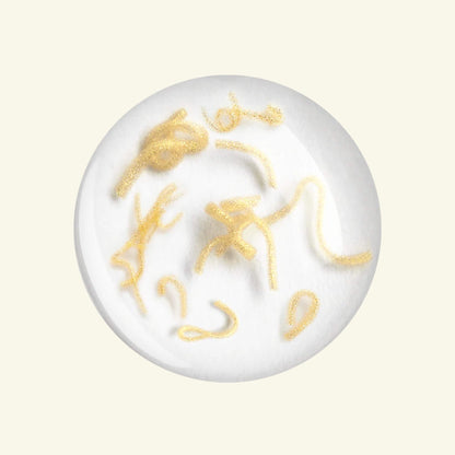 SUNGBOON EDITOR Deep Collagen Silk Peptide Intensive Ampoule (40ml)